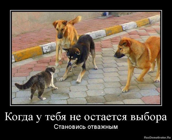 Демотиваторы про детей с животными