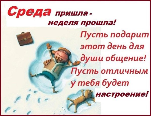 Афоризмы про среду