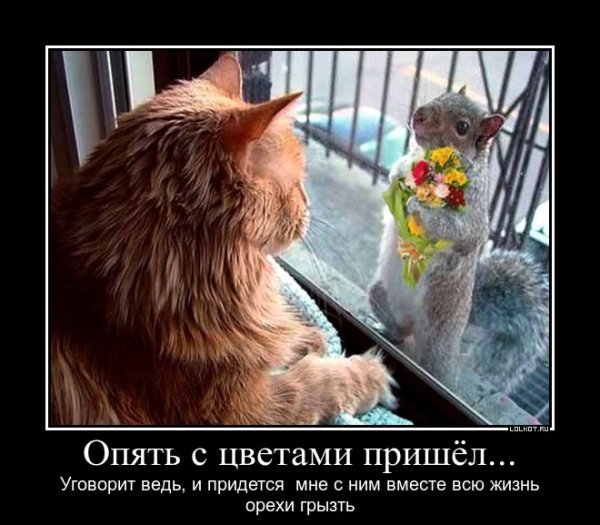 Среда юмор картинки