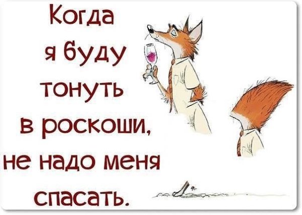 Смешные фразы про среду