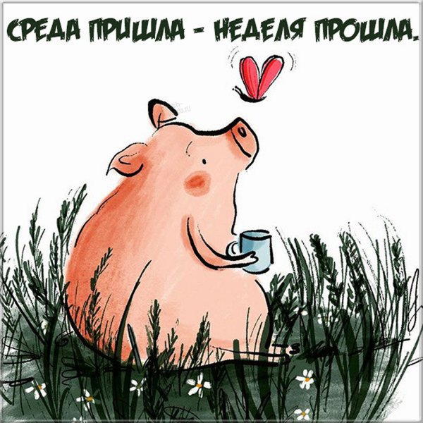 Пришла среда прикольные с надписями