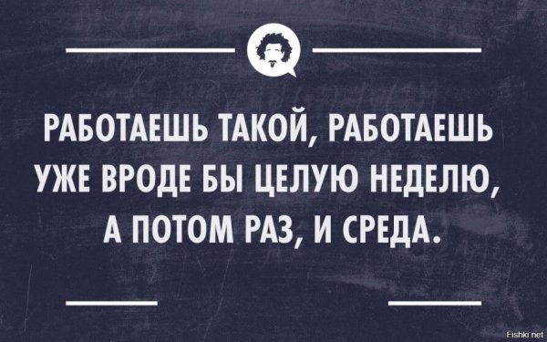 Афоризмы про среду смешные