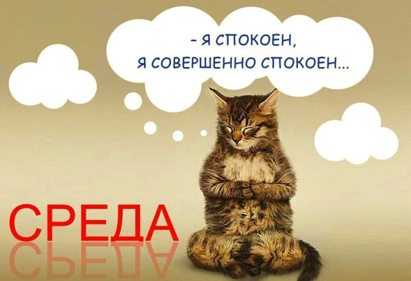 Среда картинки прикольные