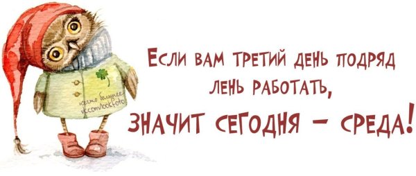 Статусы про среду
