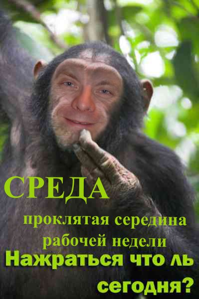 Афоризмы про среду