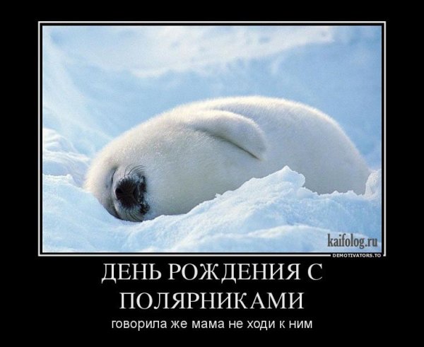 С днем рождения демотиватор