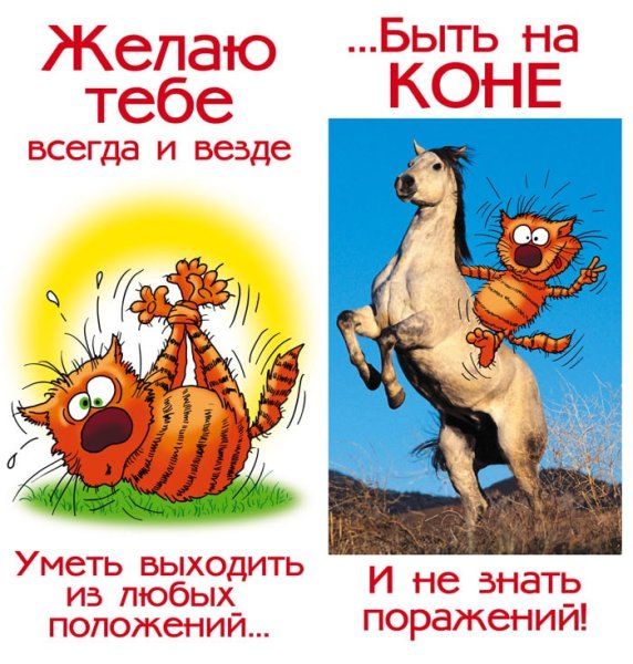 С днём рождения мужчине