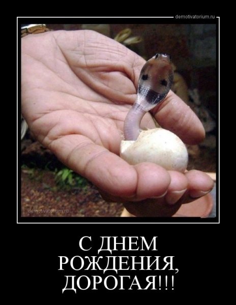 Демотиваторы о дне рождения