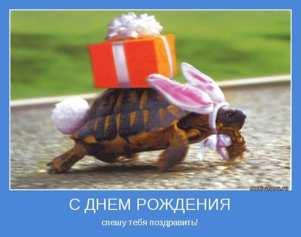 С днем рождения опоздала