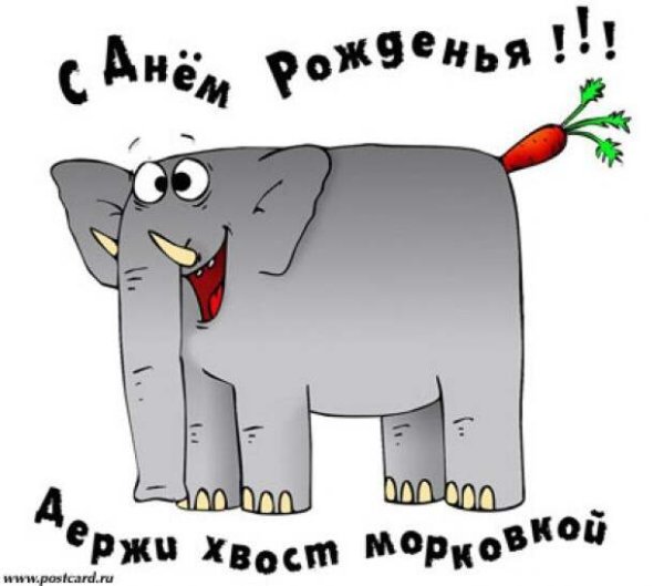 С днём рождения картинки прикольные