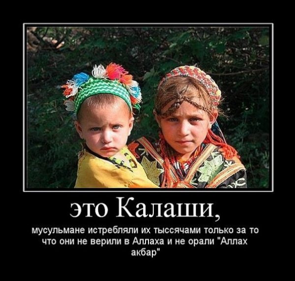 Славяне приколы
