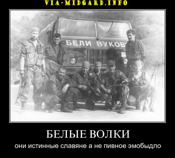 Сербы демотиватор