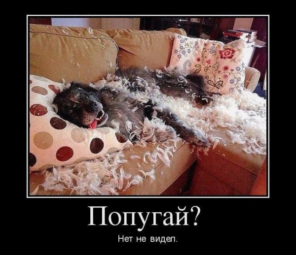 Прикольные демотиваторы