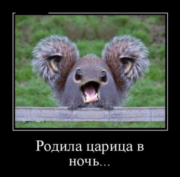 Демотиваторы смешные
