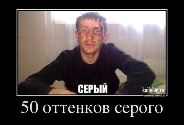 Приколы про серого
