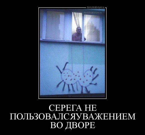 Серега демотиватор