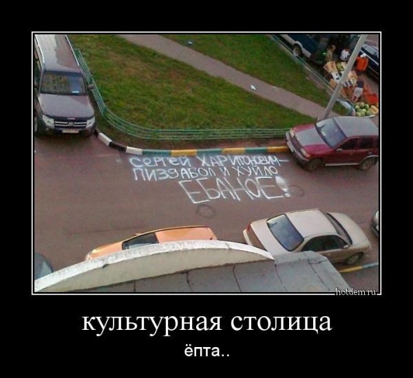 Серега демотиватор