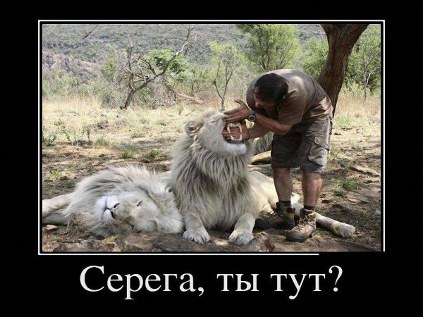 Демотиваторы злые