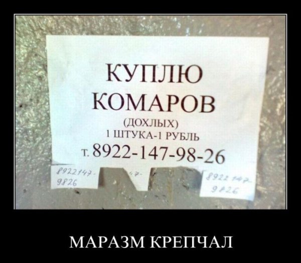 Мемы про смешные объявления