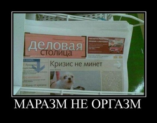 Маразм демотиватор