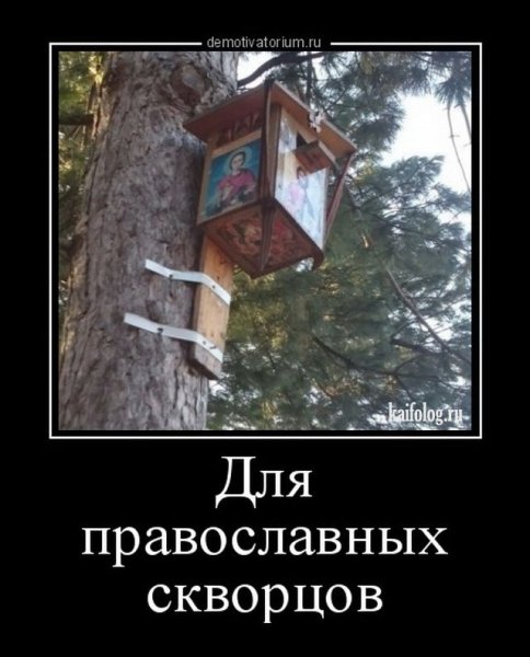 Демотиваторы про гламур