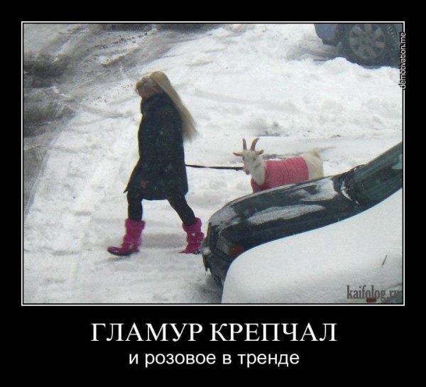 Лидер демотиватор