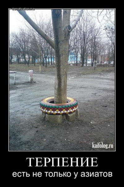 Маразм демотиватор