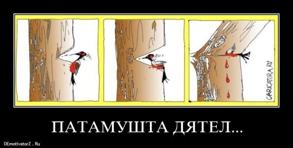 Дятел демотиватор