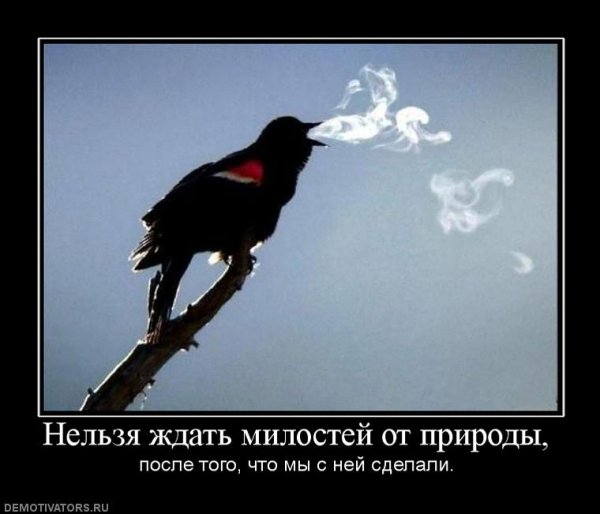 Стукач демотиватор