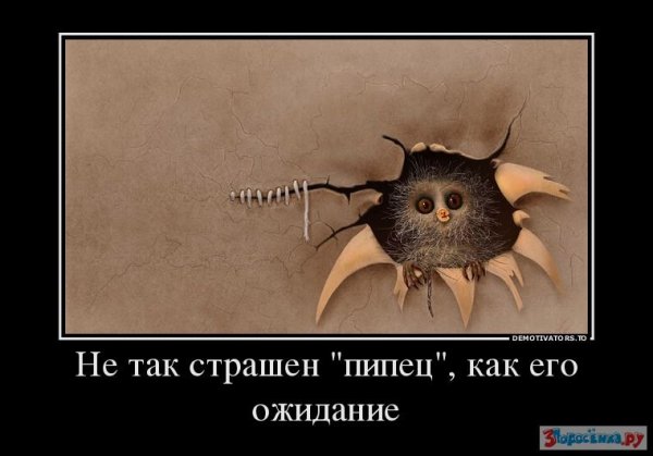 Демотиваторы дети и кот