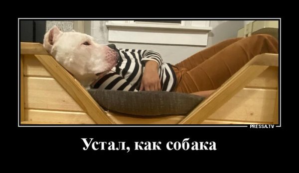 Смешные таблички в зоопарке