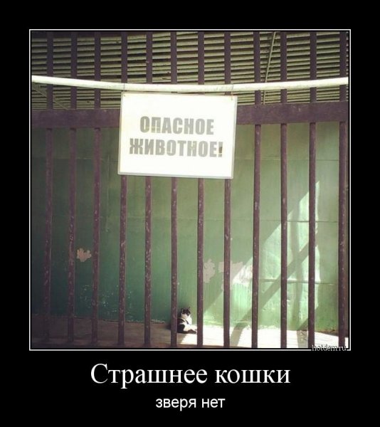 Буратино прикол