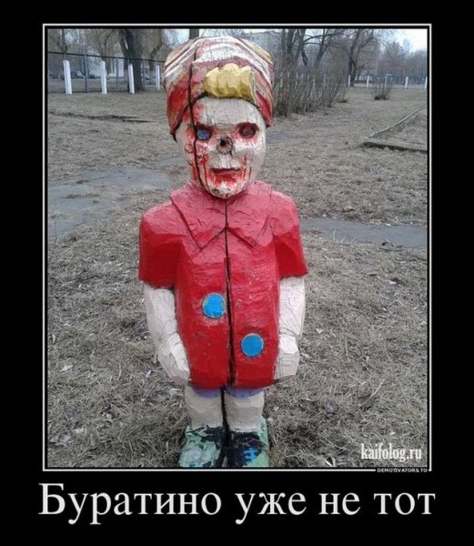 Мокрая злая кошка
