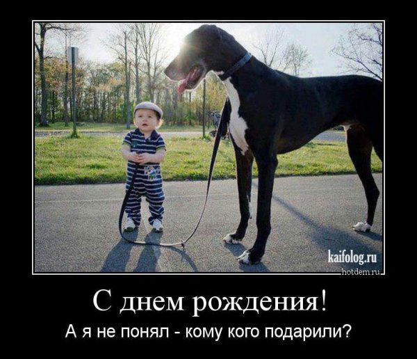 Демотиваторы черный юмор
