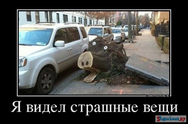 Демотиваторы страшилки