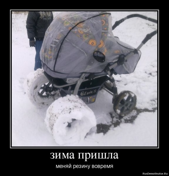 Шутки про пингвинов