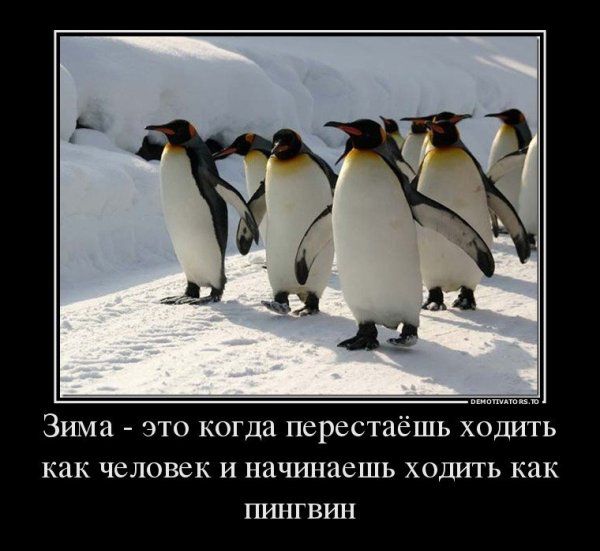 Шутки про зиму