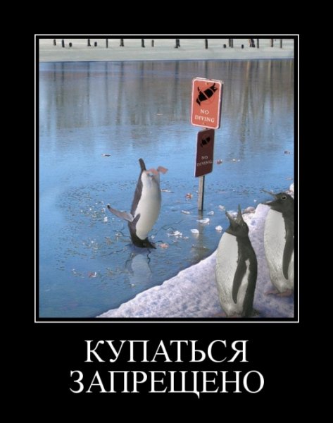 Приколы про зиму