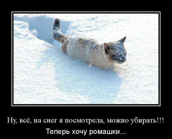 Шутки про зиму