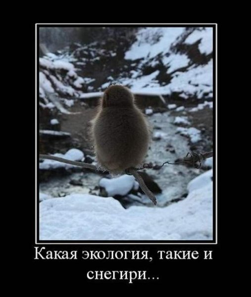 Снеговику больше не наливать