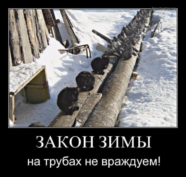Зимние демотиваторы