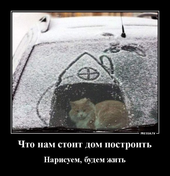 Смешные демотиваторы 2014