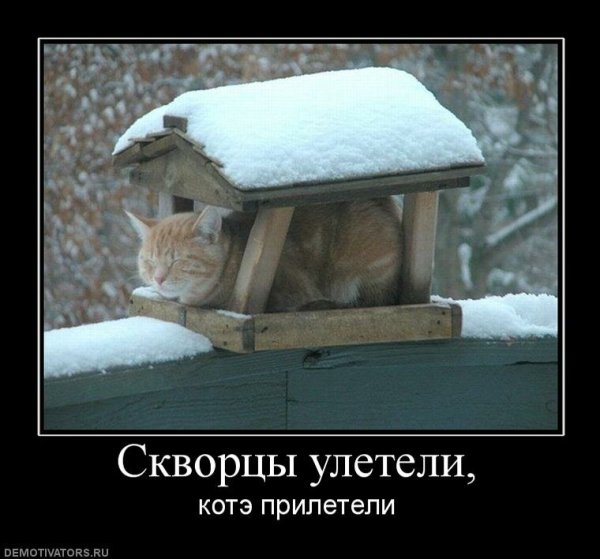 Демотиваторы про зиму смешные