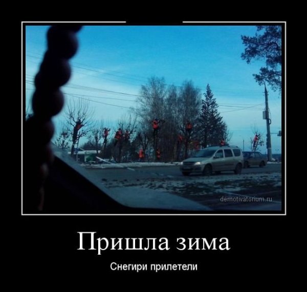Демотиваторы про зиму