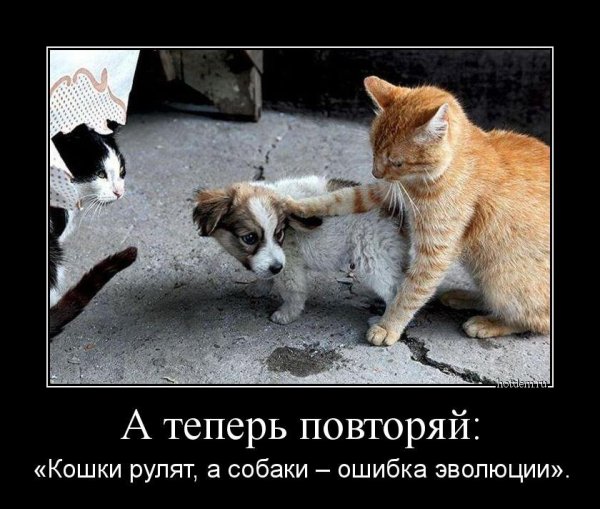 Смешно смеёмсядемотиватор