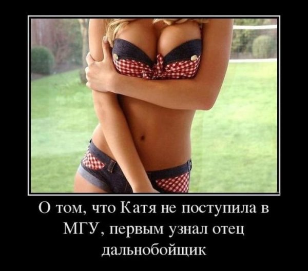 Приколы про работу