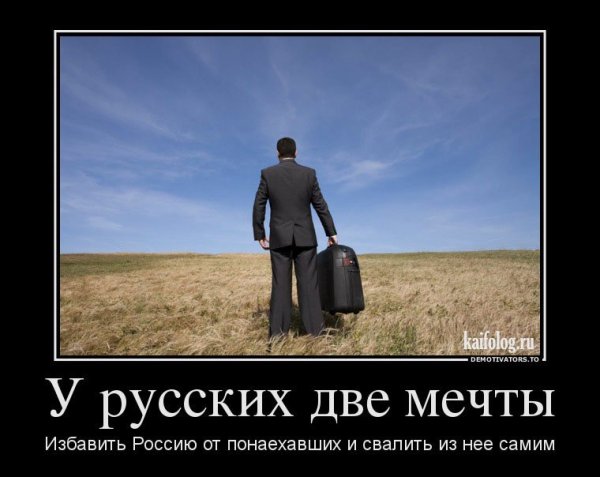 Демотиваторы про работу