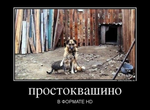 Демотиваторы Простоквашино