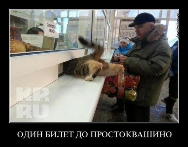 Простоквашино приколы