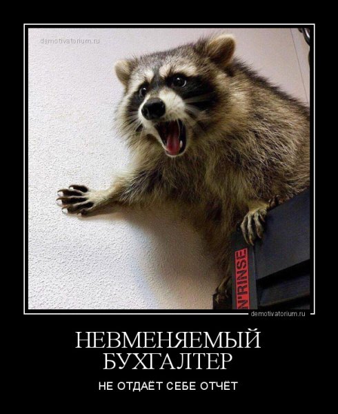 Енот демотиватор